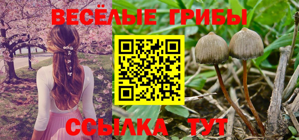 Галлюциногенные грибы мухоморы Россошь