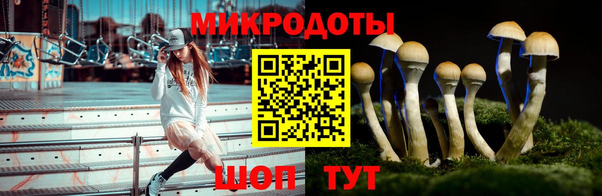 Псилоцибиновые грибы Magic Shrooms  Галлюциногенные грибы ЛСД  Вход с VPN  Россошь 
